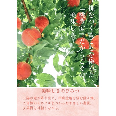 先行受付!【2026年7月発送開始】桃の産地山梨からお届け　ピーチ専科ヤマシタの桃　1kg【配送不可地域：離島】