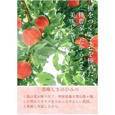 先行受付!【2026年7月発送開始】桃の産地山梨からお届け　ピーチ専科ヤマシタの桃　5kg【配送不可地域：離島】