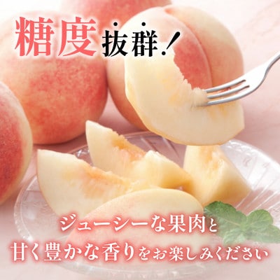 【2026年発送 先行受付】山梨旬の桃 約2kg(5～7玉)【配送不可地域：離島・沖縄県】