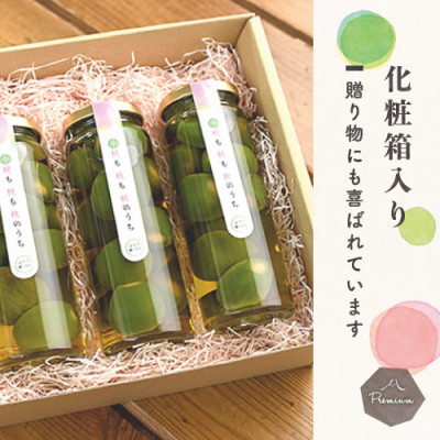 山梨県産もものピクルス「小桃も桃も桃のうち」3本セット 前菜やワインのお供に!食卓が華やぐ♪
