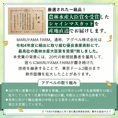 【先行受付 2026年発送】農林水産大臣賞受賞!!シャインマスカット 2房 1kg以上【配送不可地域：離島】