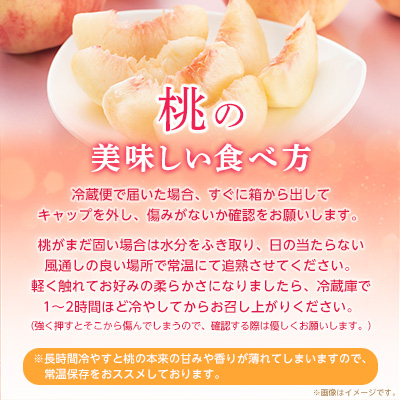 【2026年発送 先行受付】山梨厳選旬の桃約2kg【配送不可地域：離島】