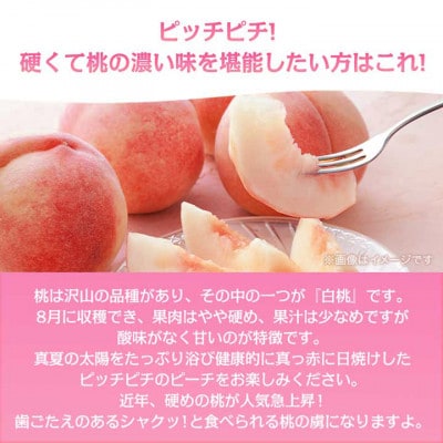 《2026年発送　先行受付》桃 『白桃系』 約2kg 5～8玉 朝もぎ直送! 選び抜かれた桃【配送不可地域：離島】