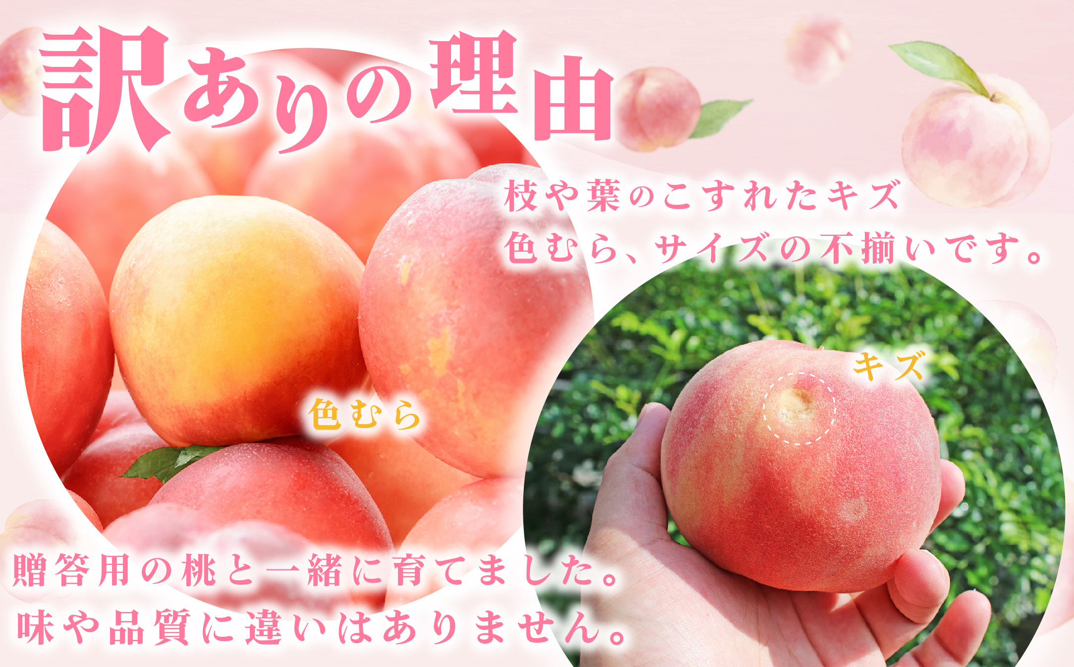 2026年 先行受付【訳あり】山梨もも2kg以上 5～8玉 熟練農家厳選の旬の桃 ご家庭用【配送不可地域：離島・沖縄県】