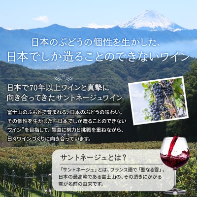 サントネージュワインが贈るメルローとマスカットベーリーAの赤ワイン2本セット