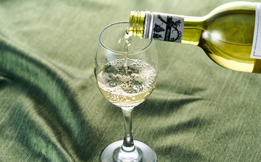 ワイン サントネージュワインが贈る シャルドネ 甲州 白ワイン 2本 セット