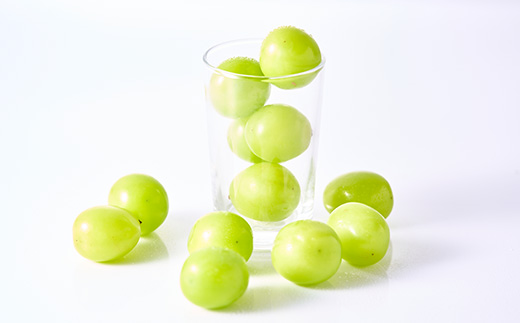 【2026年先行受付】やみつきシャインマスカット 1.5kg(3～4房)【配送不可地域：離島】