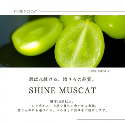 【2026年発送 先行受付】シャインマスカット 2房 1.1kg以上 山梨県 山梨市産【配送不可地域：離島】
