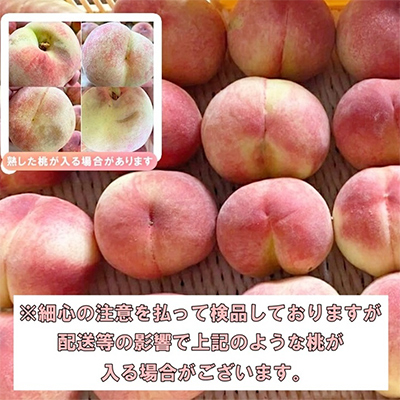 2026年 先行受付【訳あり】桃 3kg以上【配送不可地域：離島】