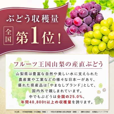【2026年発送　先行受付】大人気!シャインマスカット秀 1.2kg(2～3房)【配送不可地域：離島】