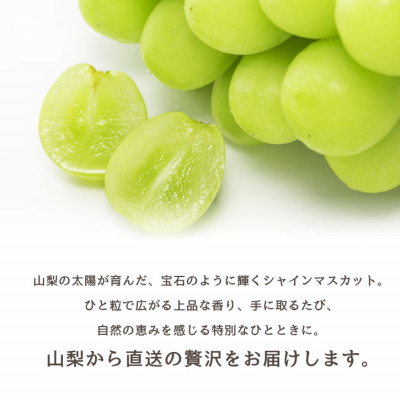 【2026年発送 先行受付】山梨市 シャインマスカット(約2kg)3～5房入り 化粧箱入り【配送不可地域：離島・沖縄県】