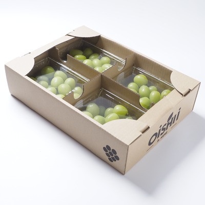 【先行受付2026年発送】 シャインマスカット 粒 約1.2kg 【訳あり】ぶどう 粒カット【配送不可地域：離島・沖縄県】