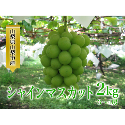 シャインマスカット 約2kg(3～4房)【配送不可地域：離島】