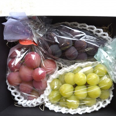 【2026年先行受付】皮ごと食べられるぶどう3色詰め合わせ 約1kg(3房)【配送不可地域：離島】