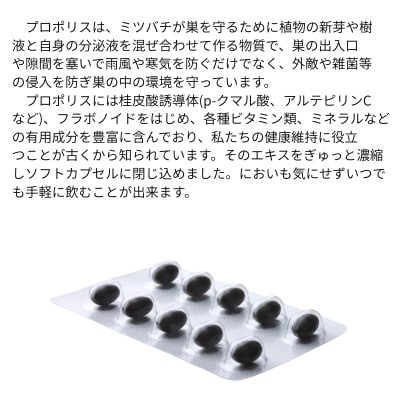 バイオフラボンメディック 120粒