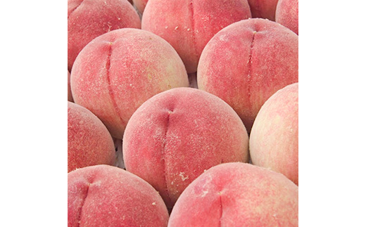 2026年発送 山梨市産 訳あり桃 約2kg(4～8玉)【配送不可地域：離島】