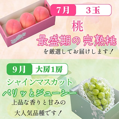 【発送月固定定期便】山梨の美味しい【桃とシャインマスカット】定期便全2回【配送不可地域：離島】