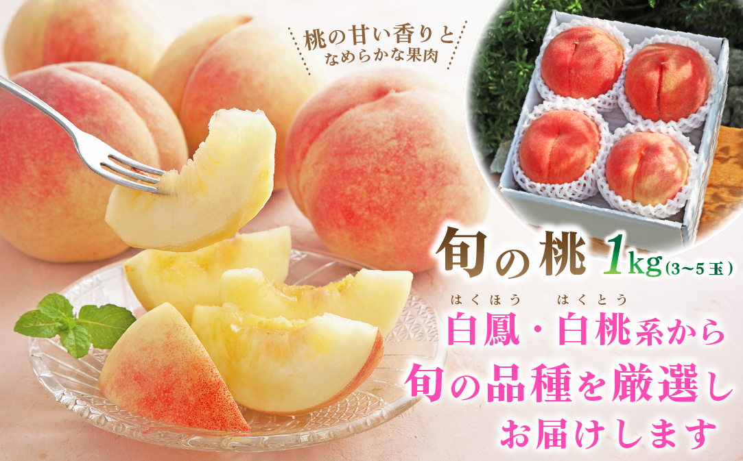 【発送月固定定期便】2026年発送 山梨フルーツ旬の果物 桃+シャインマスカット 全2回【配送不可地域：離島・沖縄県】