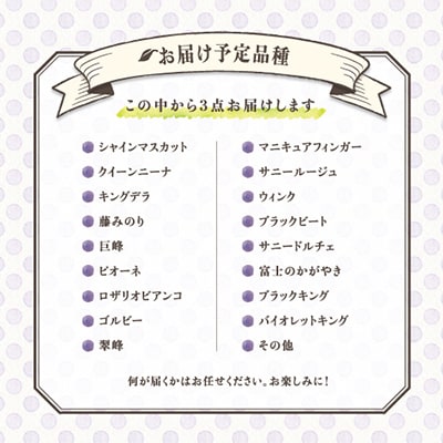 【発送月固定定期便】葡萄好きさん、集まれ～!人気のフルーツぶどうの定期便全3回【配送不可地域：離島・沖縄県】