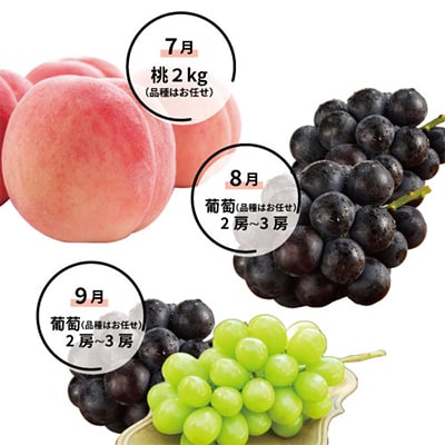 【発送月固定定期便】山梨好きさん、集まれ～!人気のフルーツも届く定期便 全6回【配送不可地域：離島】