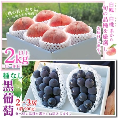 【発送月固定定期便】2026年発送 山梨 旬の果物 桃+種無し黒ぶどう+シャインマスカット 全3回【配送不可地域：離島・沖縄県】