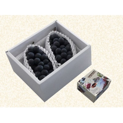 【発送月固定定期便】JAフルーツ山梨定期便 全3回【配送不可地域：離島・沖縄県】