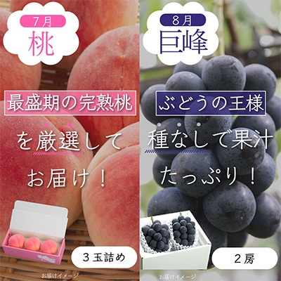 【発送月固定定期便】山梨県産旬の大人気フルーツ【桃・巨峰・シャインマスカット】お試し定期便 全3回【配送不可地域：離島・沖縄県】