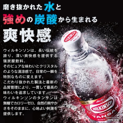 【毎月定期便】【12か月お届け】ウィルキンソン タンサン 500ml【24本入】2箱 アサヒ全12回