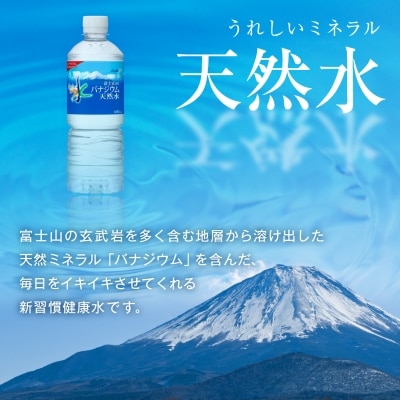 【毎月定期便】【6か月お届け】バナジウム天然水600ml【24本入】アサヒ飲料全6回