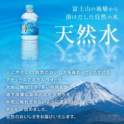 【毎月定期便】【2か月お届け】「おいしい水」 天然水 富士山 600ml【24本入】アサヒ飲料全2回
