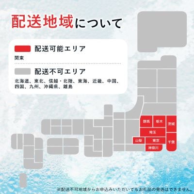 【毎月定期便】【関東のみお届け】強炭酸水1L12本 計12L サーフVOLT(ボルト)1L 全12回【配送不可地域：離島・北海道・沖縄県・東北・信越、北陸・東海・近畿・中国・四国・九州】
