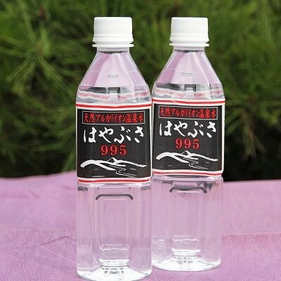 【毎月定期便】りょう泉はやぶさ　995〈500ml×24本〉全3回