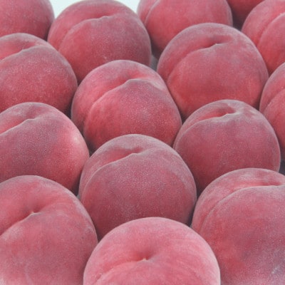 【発送月固定定期便】フルーツ定期便全2回【配送不可地域：離島・沖縄県】