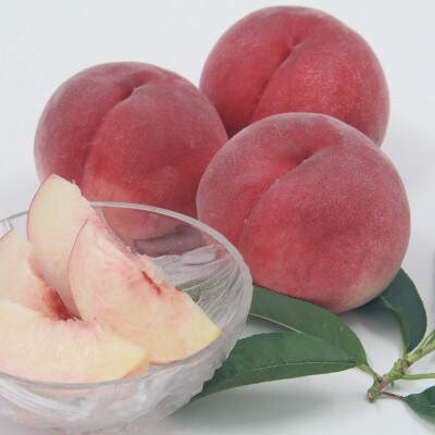 【発送月固定定期便】フルーツ定期便全4回【配送不可地域：離島】