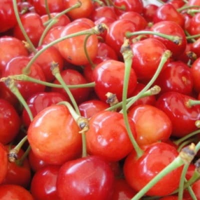 【発送月固定定期便】フルーツ定期便全6回【配送不可地域：離島】