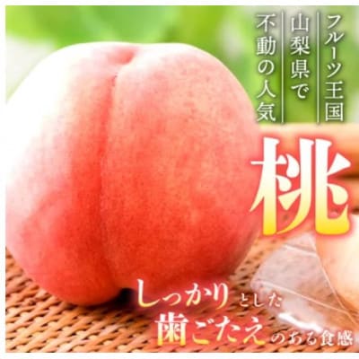 【発送月固定定期便】桃3玉(1kg)　シャインマスカット1房(500g以上)全2回【配送不可地域：離島】