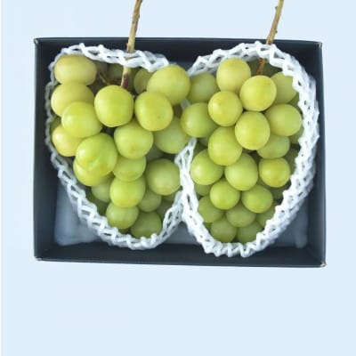 【発送月固定定期便】山梨市産　旬のフルーツ定期便全4回【配送不可地域：離島・沖縄県】