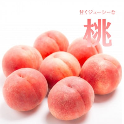 【発送月固定定期便】【2026年先行受付】旬のフルーツ定期便　桃2kg・シャインマスカット全2回【配送不可地域：離島】