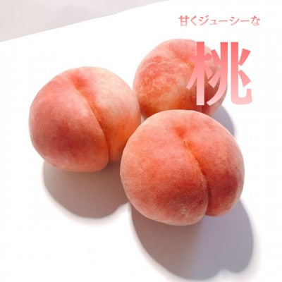 【発送月固定定期便】【2026年先行受付】フルーツ定期便 桃2kg 巨峰1kg シャイン1kg全3回【配送不可地域：離島】