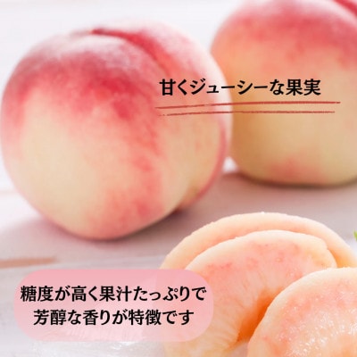 【発送月固定定期便】【2026年先行受付】 旬のフルーツ定期便 桃900g・シャイン500g全2回【配送不可地域：離島】