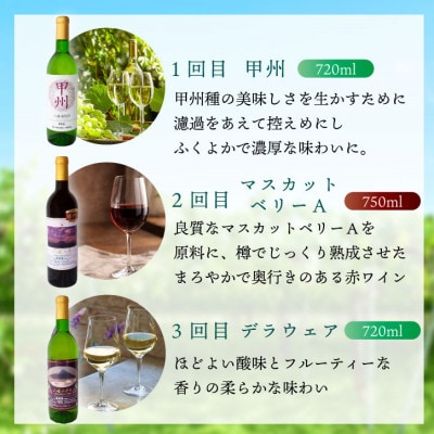 【毎月定期便】山梨 八幡洋酒 白ワイン 赤ワイン 飲み比べ 定期便 ぶどう農家全3回