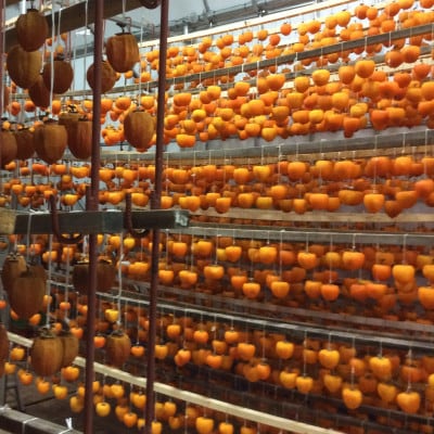 冬の銘菓「枯露柿」　2号箱(約1kg　12～20個入)