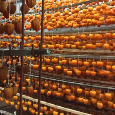 冬の銘菓「枯露柿」　1号箱(約1.4kg　12～20個入)