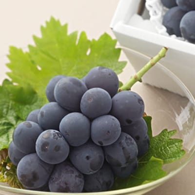 【2026年発送分先行受付】山梨産 ピオーネ(種なし) 2房 約1kg 化粧箱入り 産地直送でお届け【配送不可地域：離島・沖縄県】