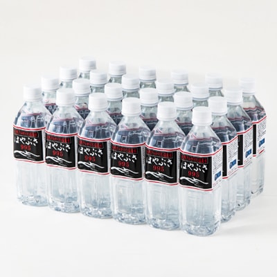 りょう泉はやぶさ　995〈500ml×24本〉