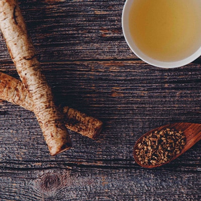 サーフ　ごぼう茶　350ml×24本