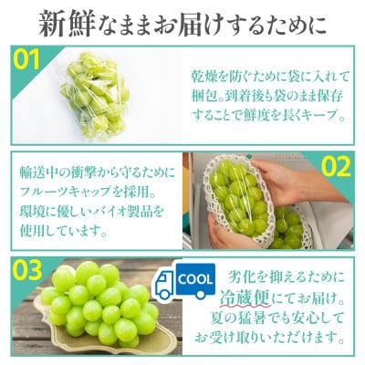 【数量限定】6月下旬～7月中旬発送ハウス栽培の『シャインマスカット』 2房　約1kg【配送不可地域：離島・沖縄県】