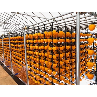 やまなし内藤農園のスウィートフルあんぽ柿【配送不可地域：離島】