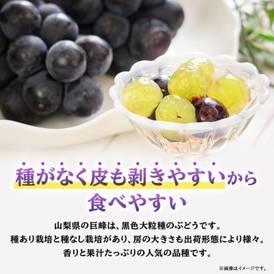 【2026年先行受付】山梨市産「巨峰(種なし)」詰め合わせ(約500g×3房)【配送不可地域：離島・沖縄県】