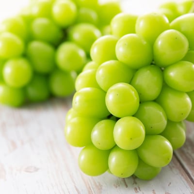 【2026年先行受付】山梨市産「シャインマスカット(種なし)」 約1.5kg (約500g×3房)【配送不可地域：離島・沖縄県】